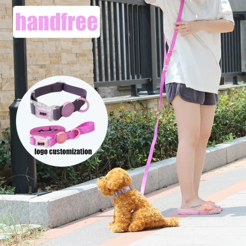 Waterproof Dog Collars real use scene display
