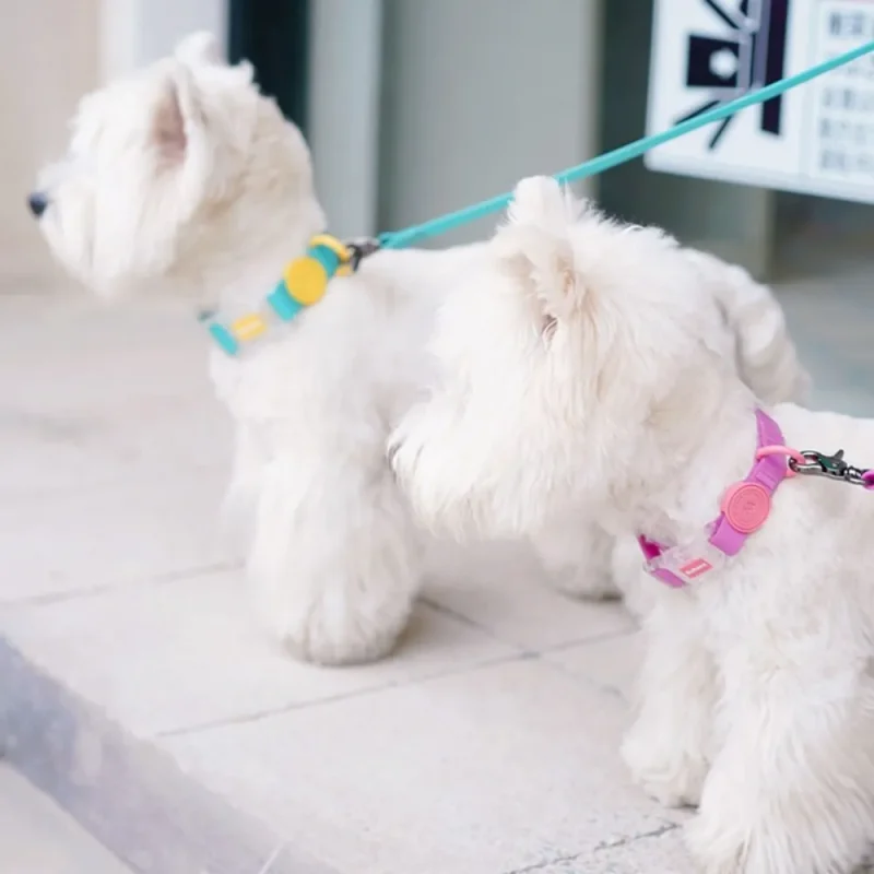 Waterproof Dog Collars modle display