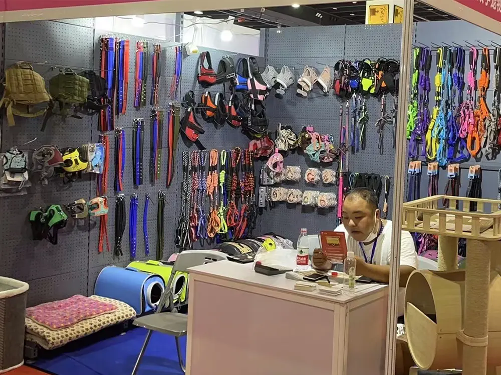 our exhibitions