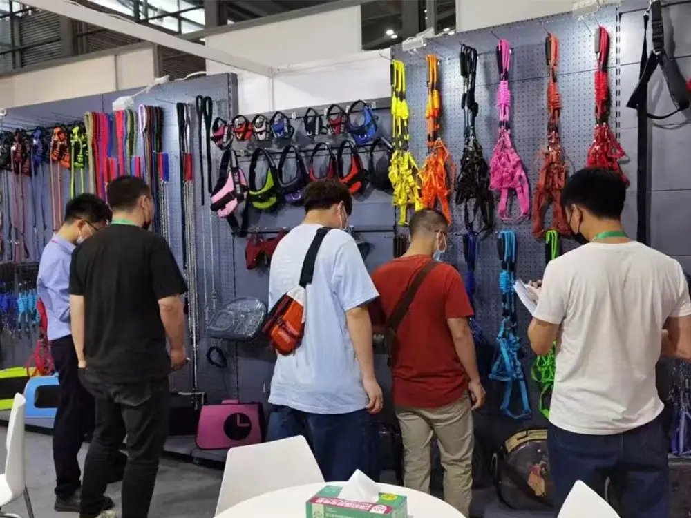 Participate in exhibitions