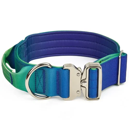 gradient collar blue and green color