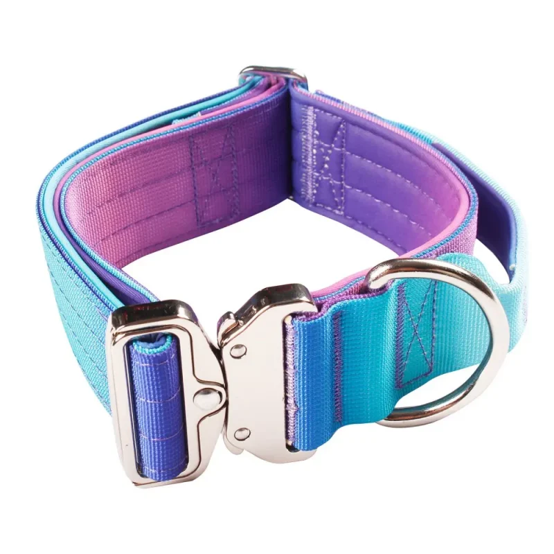 gradient collar blue and purple color
