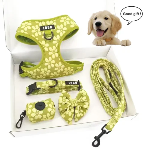 jacquard harness set good gift for your fur children