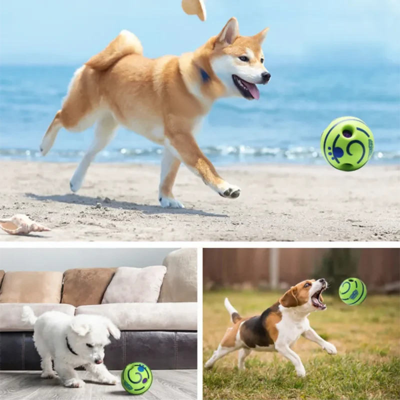 Play with the sound ball toy in different scenarios