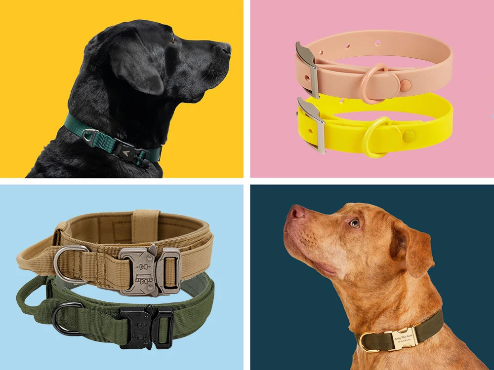 The Ultimate Guide to Choosing the Perfect Collar for Your Dog