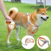 Automatic Retractable Dog Leash with vest style harness