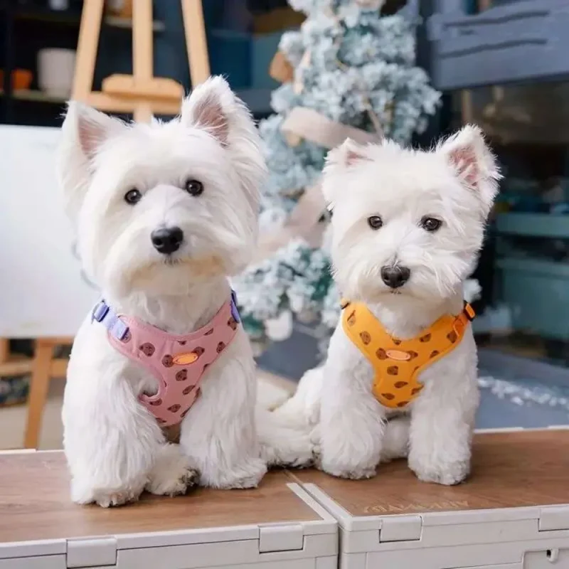 harness with cute bear print for small pets