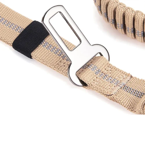 seat belt buckle