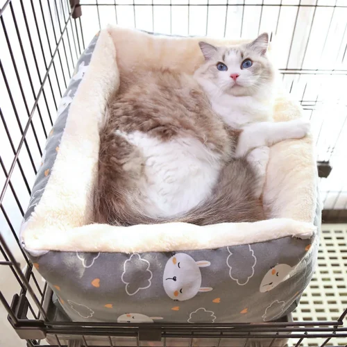 rectangle pet bed with removable cushion for cats