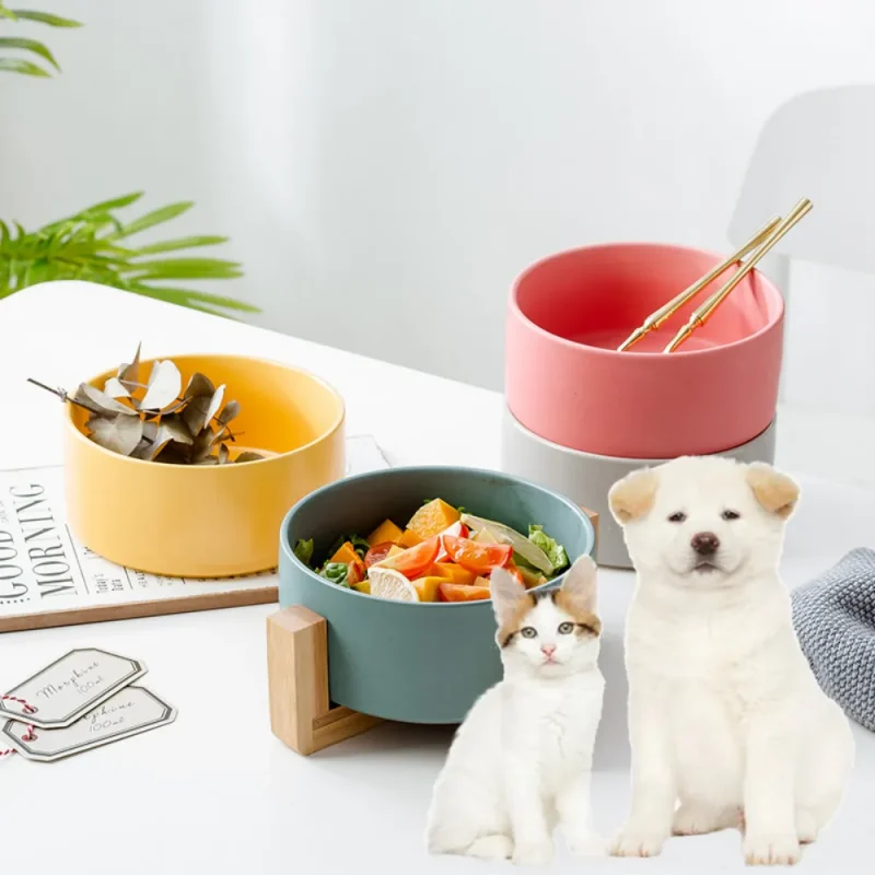 pet ceramic container food bowl water feeder