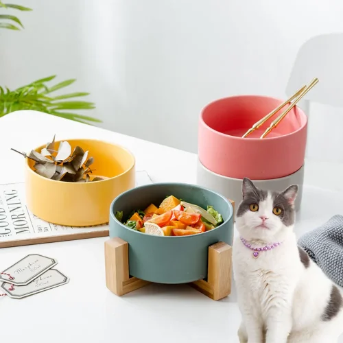 pet ceramic container food bowl water feeder