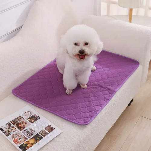 all-seasen waterproof pet pee mat custom color pad pet comfortable sit and sleep
