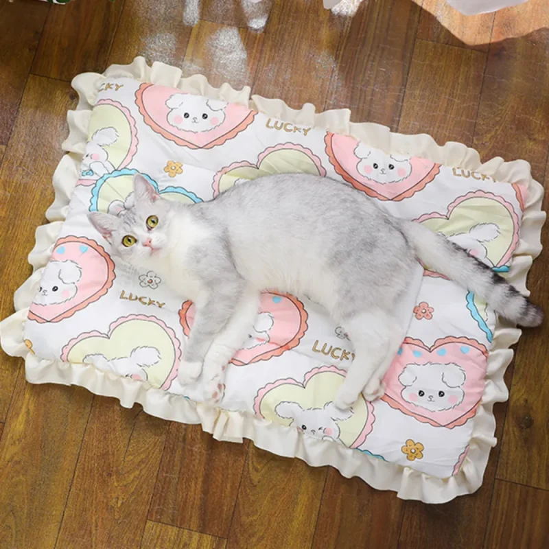 cute plush warm comfortable pet soft blanket