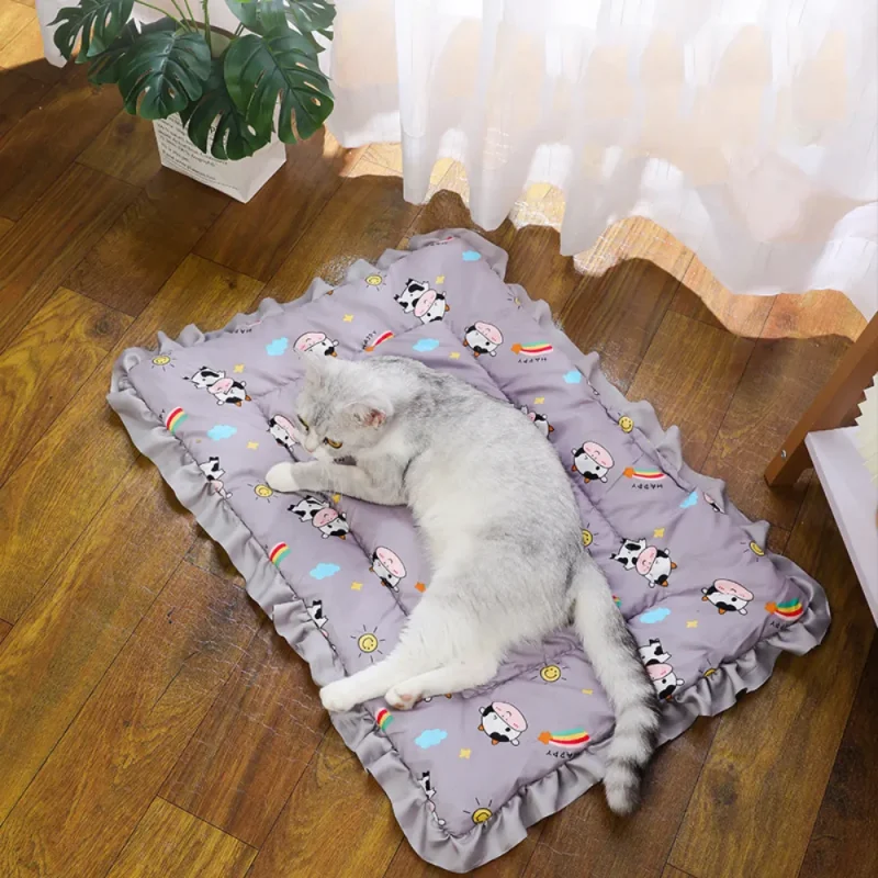 cute plush warm comfortable pet soft blanket