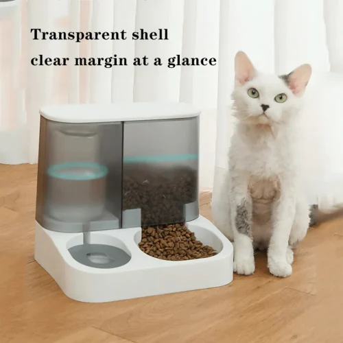 transparent shell clear margin at a glance