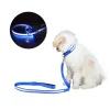 pet dog leash with led light