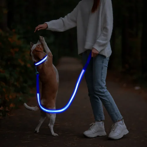 leash and collar with led light strip