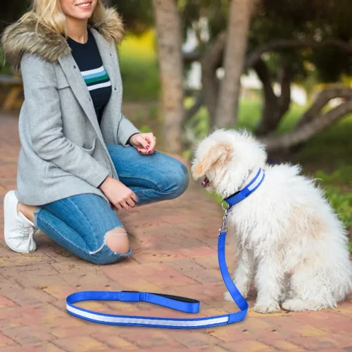 pet dog leash with led light real sence display