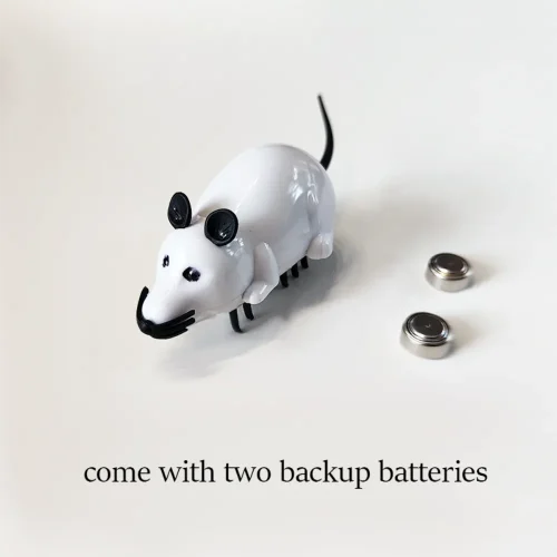 come with two backup batteries