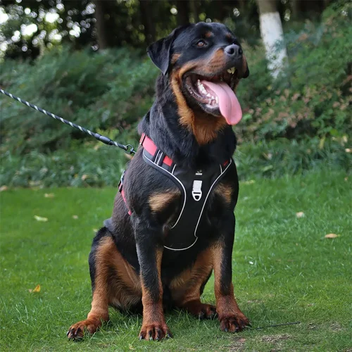 truelove training harness walking dog vest real sence display