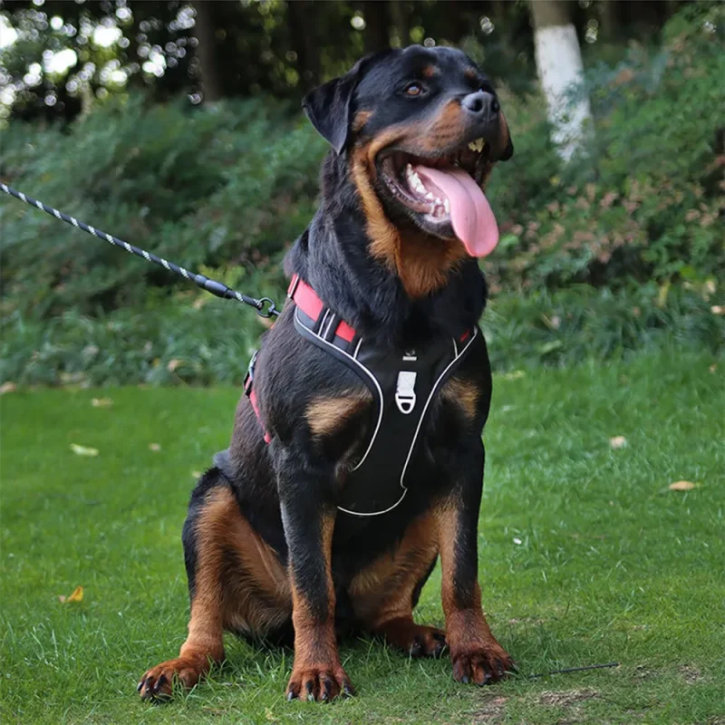 truelove training harness walking dog vest real sence display