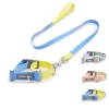 pvc collar and leash
