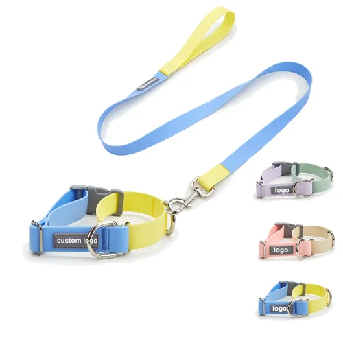 pvc collar and leash