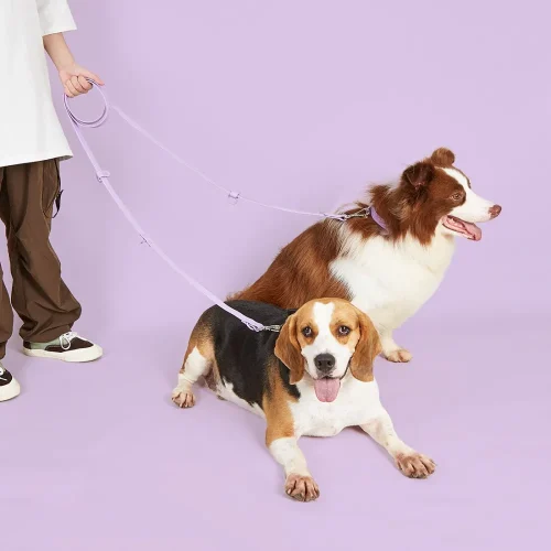 adjustable waterproof pvc long leash dog lead use as double head leash