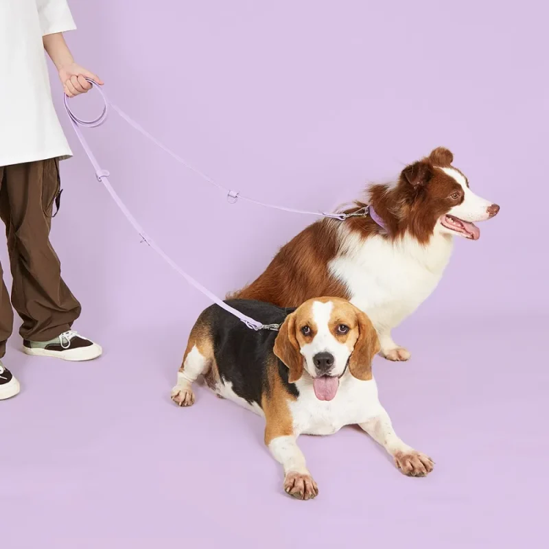 adjustable waterproof pvc long leash dog lead use as double head leash