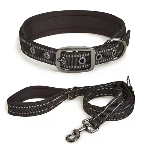 blcak color collar and leash