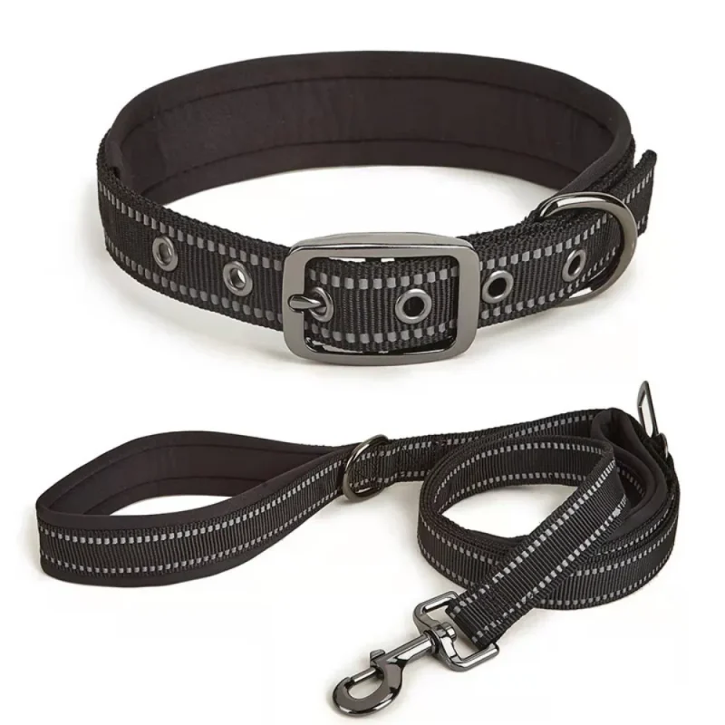 blcak color collar and leash