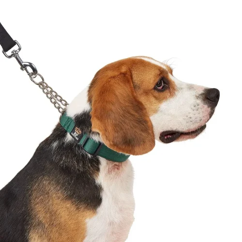 half chain collar green color
