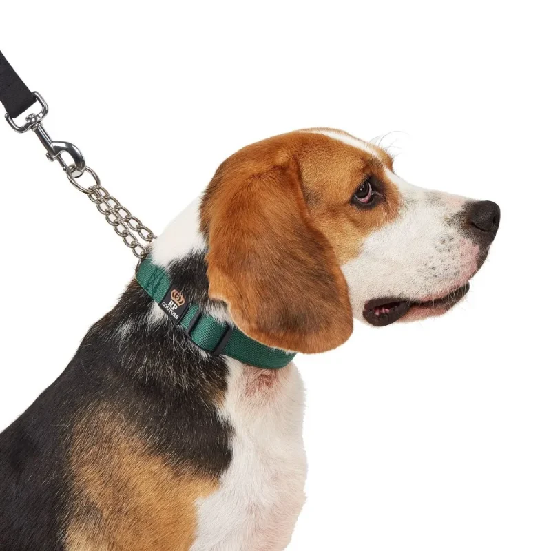 half chain collar green color