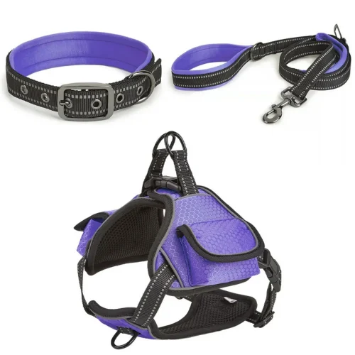 purple color harness collar leash
