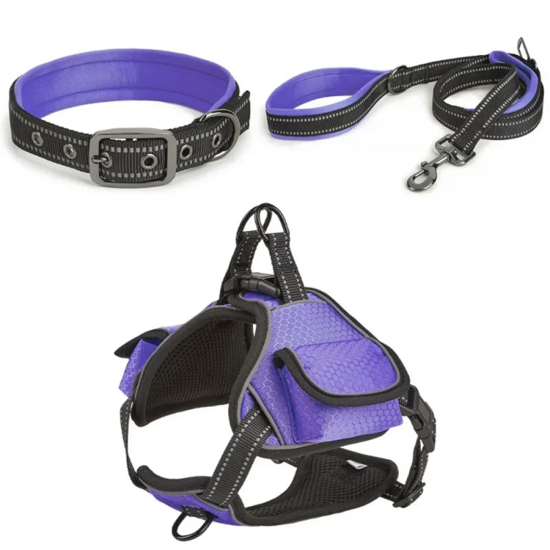 purple color harness collar leash