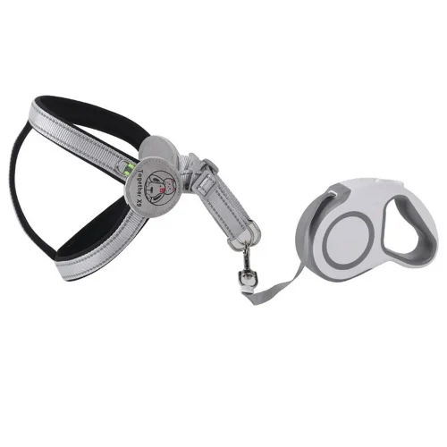 Automatic Retractable Dog Leash gray color set