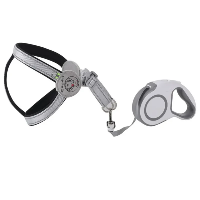 Automatic Retractable Dog Leash gray color set
