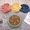 slow eating healthy feed dog bowl