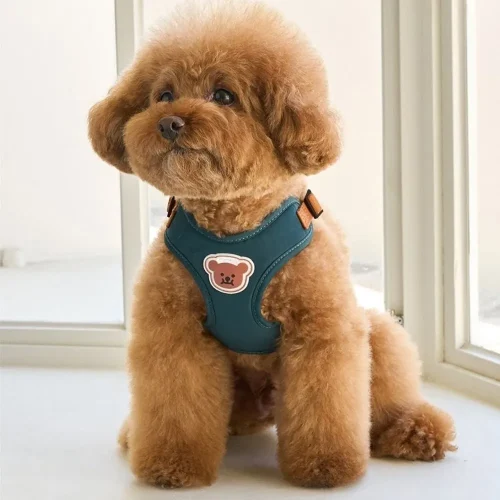 harness on Teddy display