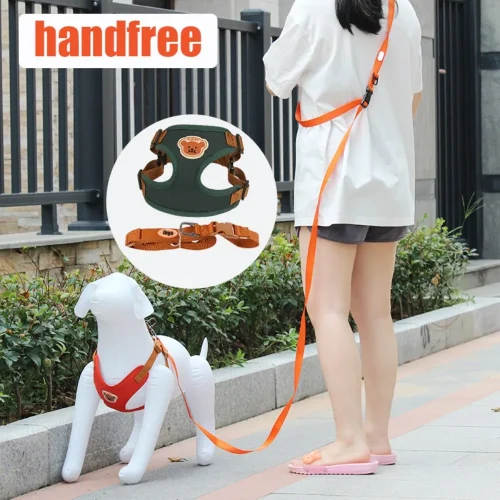 handfree leash and harness set