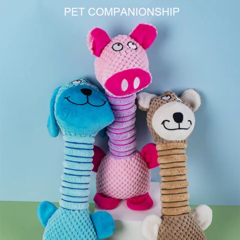 pet companionship