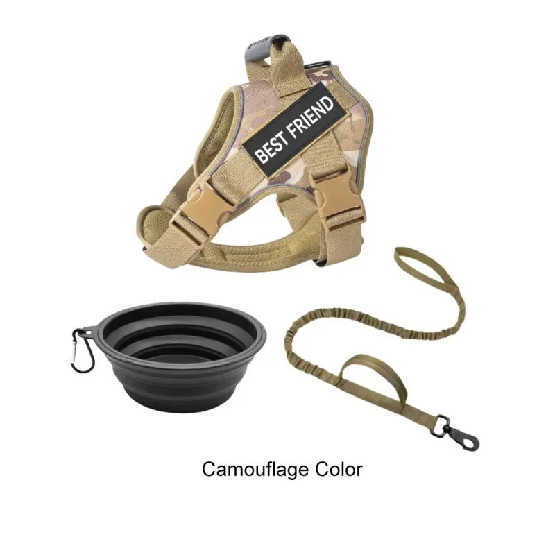 camouflage color