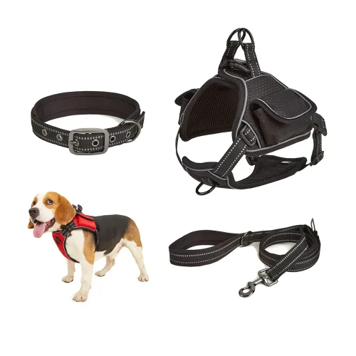 training hanress collar and leash black color