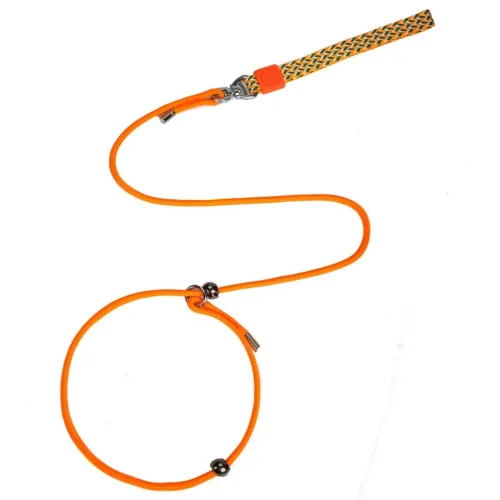 p chain thin slip leads for dogs training leash orange color