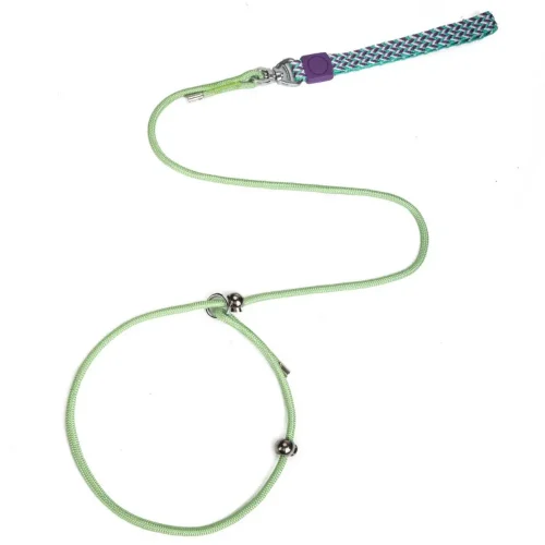 p chain thin slip leads for dogs training leash light green color