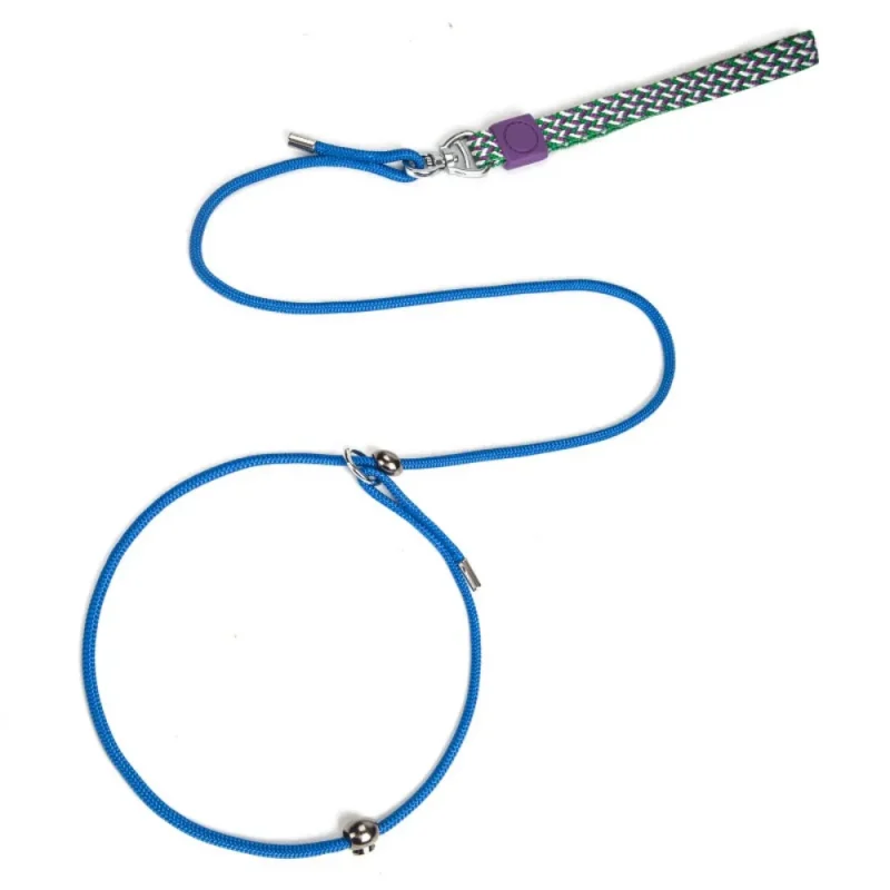 p chain thin slip leads for dogs training leash blue color