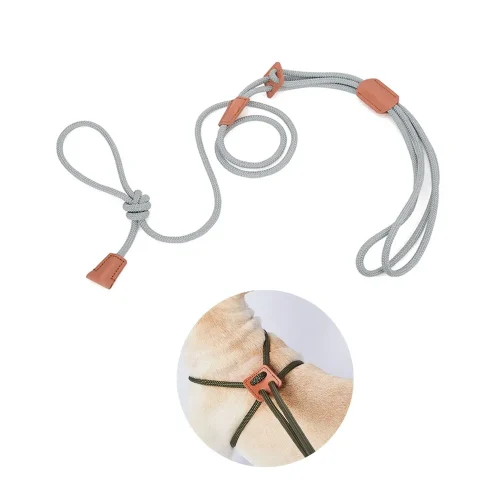 Adjustable One-Piece Leash Fashion Style Harness for Pets