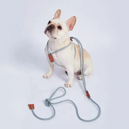 Adjustable One-Piece Leash Fashion Style Harness for Pets