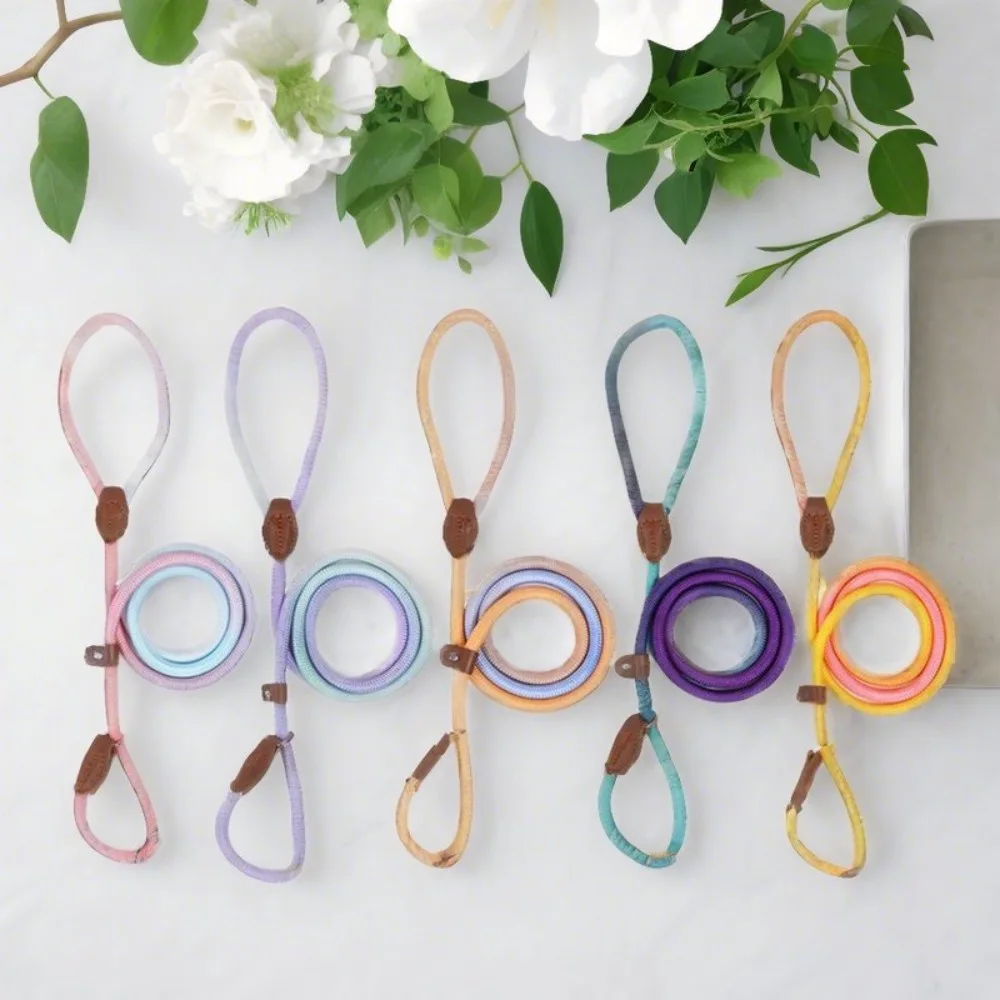 Slip Lead Nylon Gradient Dog Leash and Collar Set