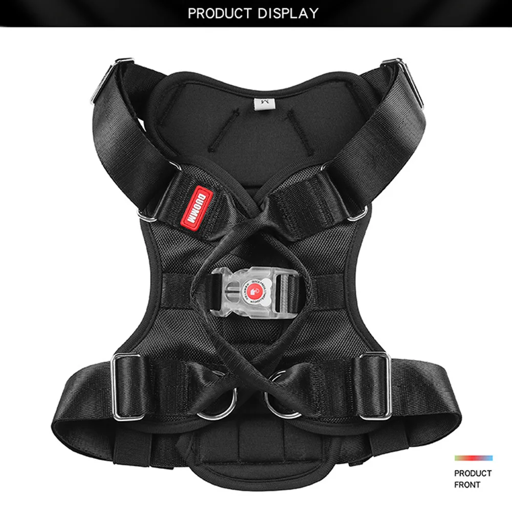 front side